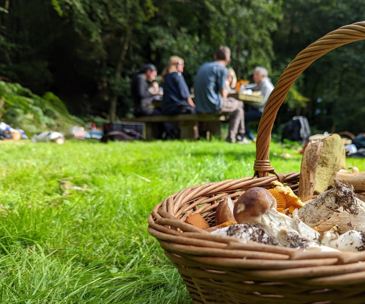 Foraging England Foraging in the UK: A Beginners Guide — Goarmy