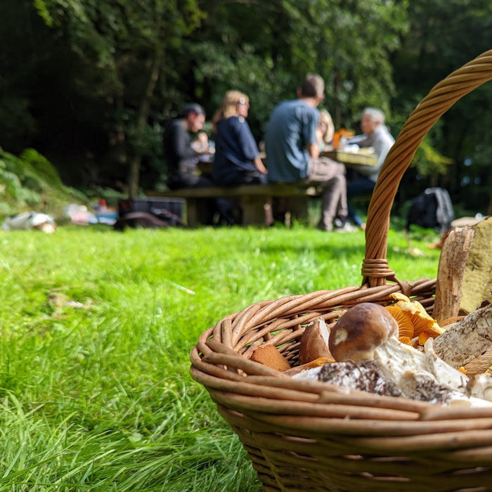 Foraging in the UK: A Beginners Guide - Goarmy